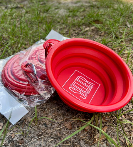Collapsible Travel Dog Bowl
