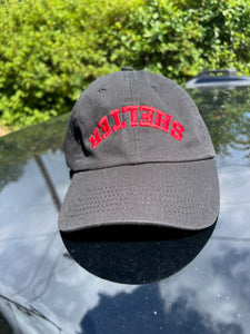 Shelter Baseball Hat