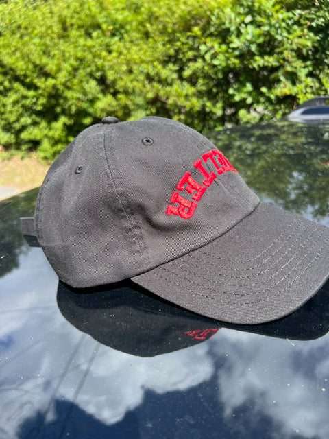 Shelter Baseball Hat